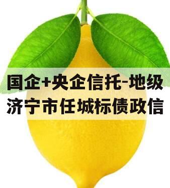 国企+央企信托-地级济宁市任城标债政信