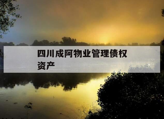 四川成阿物业管理债权资产