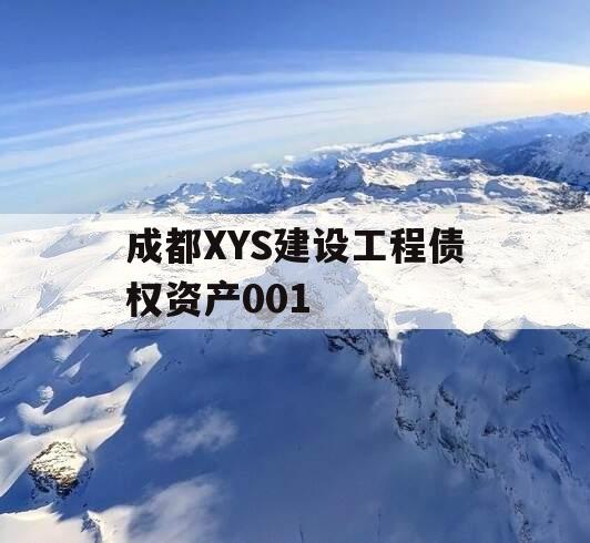 成都XYS建设工程债权资产001