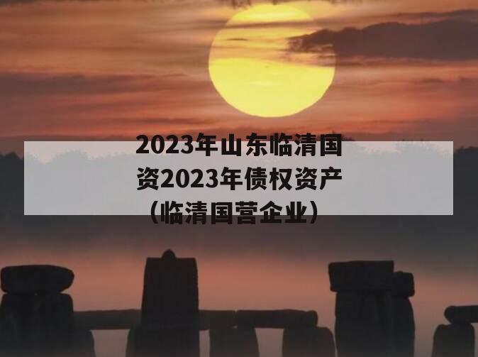 2023年山东临清国资2023年债权资产（临清国营企业）