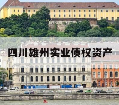 四川雄州实业债权资产