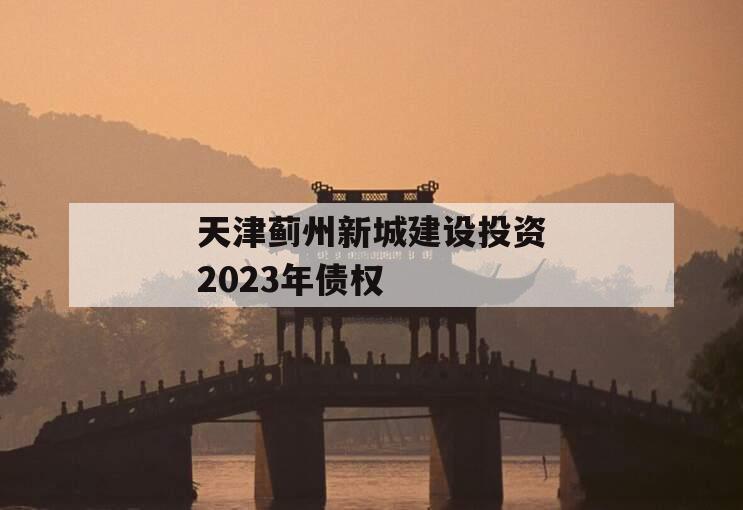 天津蓟州新城建设投资2023年债权
