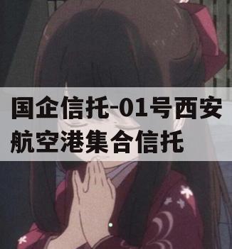国企信托-01号西安航空港集合信托