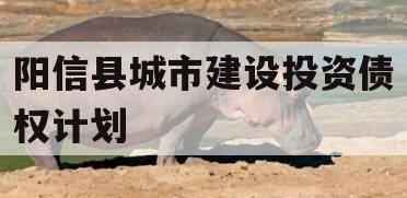 阳信县城市建设投资债权计划
