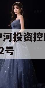天津宁河投资控股债权拍卖02号