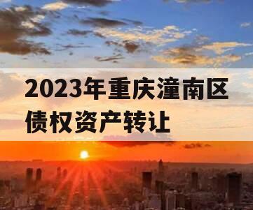 2023年重庆潼南区债权资产转让