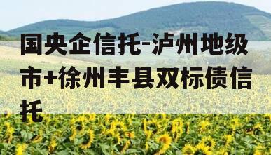 国央企信托-泸州地级市+徐州丰县双标债信托