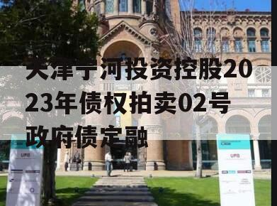天津宁河投资控股2023年债权拍卖02号政府债定融