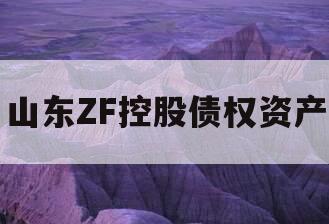 山东ZF控股债权资产
