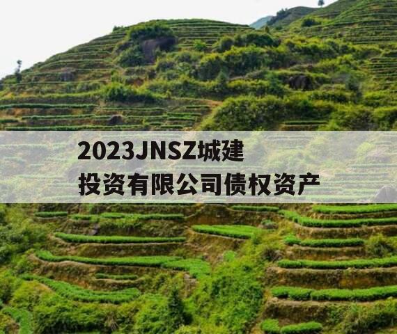 2023JNSZ城建投资有限公司债权资产