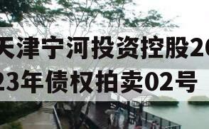 天津宁河投资控股2023年债权拍卖02号