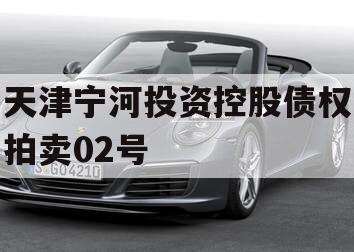 天津宁河投资控股债权拍卖02号