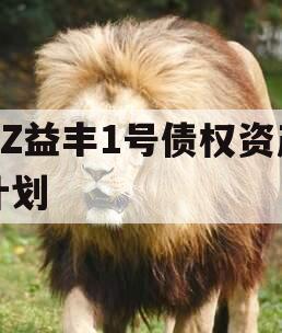 DZ益丰1号债权资产计划