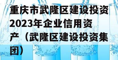 重庆市武隆区建设投资2023年企业信用资产（武隆区建设投资集团）