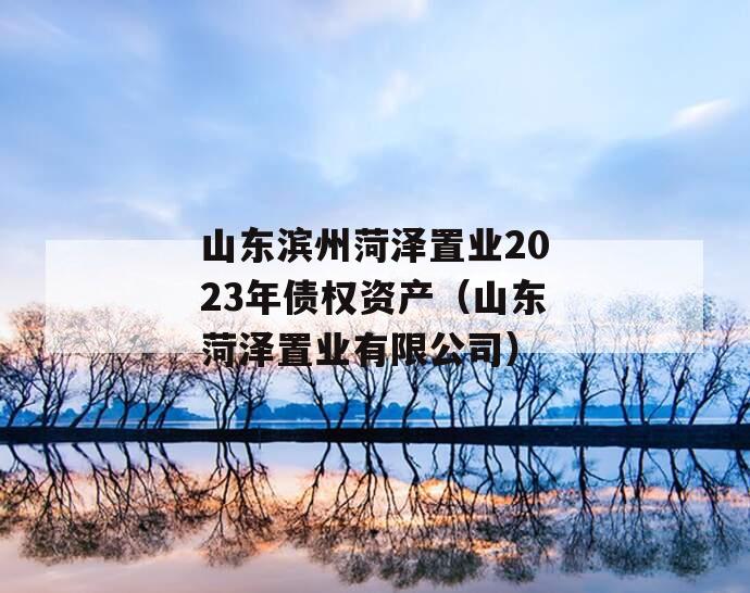 山东滨州菏泽置业2023年债权资产（山东菏泽置业有限公司）