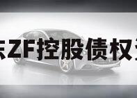 山东ZF控股债权资产