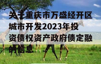 关于重庆市万盛经开区城市开发2023年投资债权资产政府债定融的信息