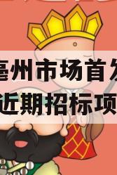 安徽亳州市场首发定融(亳州近期招标项目)
