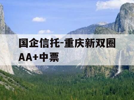国企信托-重庆新双圈AA+中票
