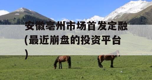 安徽亳州市场首发定融(最近崩盘的投资平台)