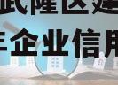 重庆市武隆区建设投资2023年企业信用资产