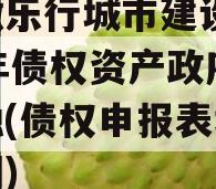 安徽乐行城市建设2023年债权资产政府债定融(债权申报表填写范例)