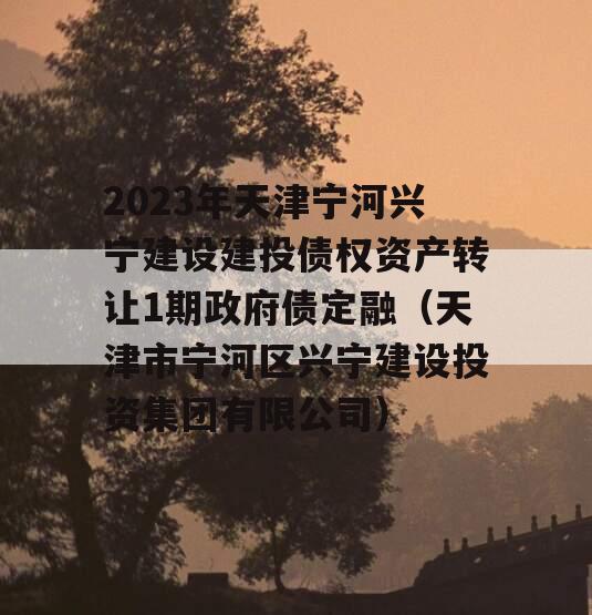 2023年天津宁河兴宁建设建投债权资产转让1期政府债定融（天津市宁河区兴宁建设投资集团有限公司）