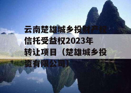 云南楚雄城乡投财产权信托受益权2023年转让项目（楚雄城乡投资有限公司）
