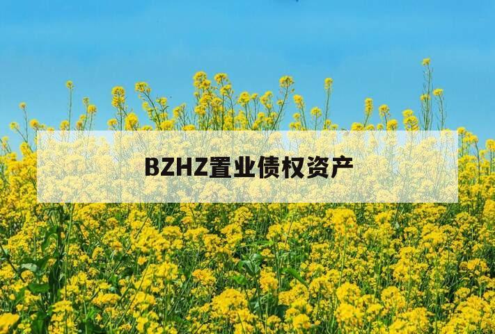 BZHZ置业债权资产