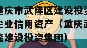 重庆市武隆区建设投资企业信用资产（重庆武隆建设投资集团）