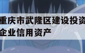 重庆市武隆区建设投资企业信用资产