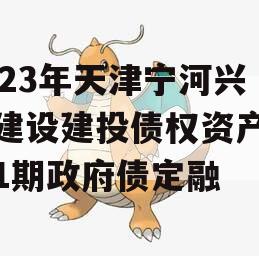 2023年天津宁河兴宁建设建投债权资产转让1期政府债定融
