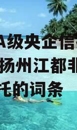 包含A级央企信托-371号扬州江都非标集合信托的词条