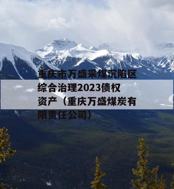 重庆市万盛采煤沉陷区综合治理2023债权资产（重庆万盛煤炭有限责任公司）