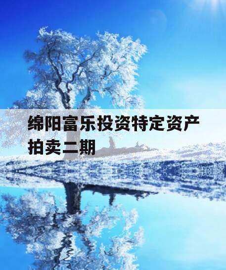 绵阳富乐投资特定资产拍卖二期