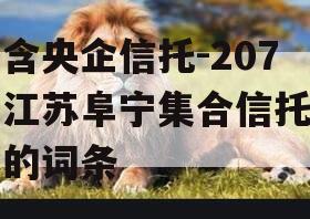 包含央企信托-207号江苏阜宁集合信托计划的词条
