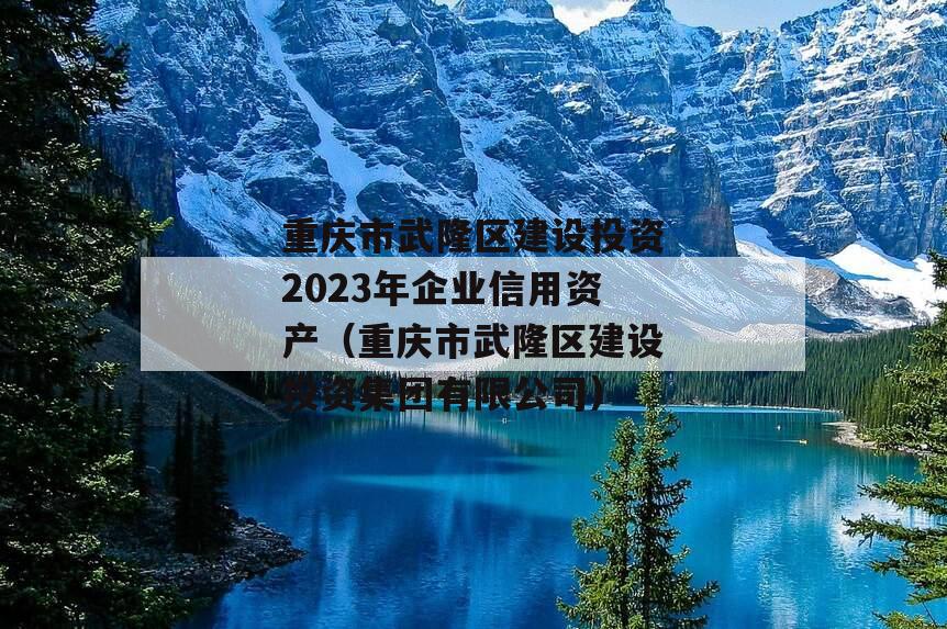 重庆市武隆区建设投资2023年企业信用资产（重庆市武隆区建设投资集团有限公司）