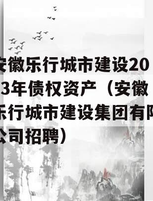 安徽乐行城市建设2023年债权资产（安徽乐行城市建设集团有限公司招聘）