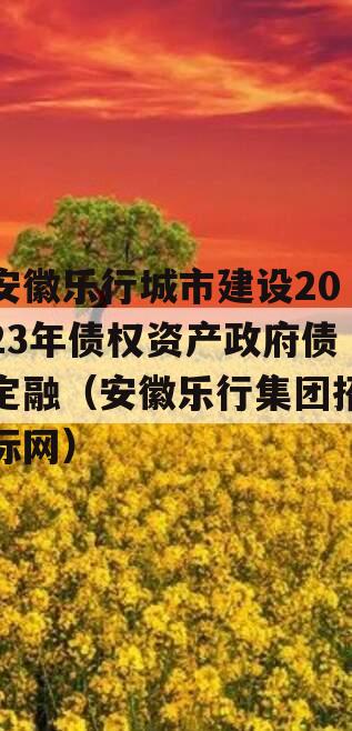 安徽乐行城市建设2023年债权资产政府债定融（安徽乐行集团招标网）