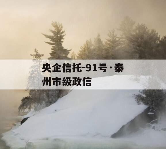 央企信托-91号·泰州市级政信
