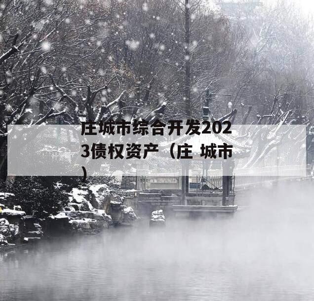 庄城市综合开发2023债权资产（庄 城市）