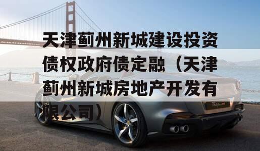 天津蓟州新城建设投资债权政府债定融（天津蓟州新城房地产开发有限公司）