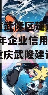 重庆市武隆区建设投资2023年企业信用资产（重庆武隆建设投资集团）