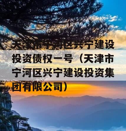 天津市宁河区兴宁建设投资债权一号（天津市宁河区兴宁建设投资集团有限公司）