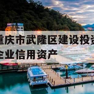 重庆市武隆区建设投资企业信用资产