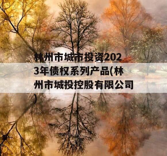 林州市城市投资2023年债权系列产品(林州市城投控股有限公司)