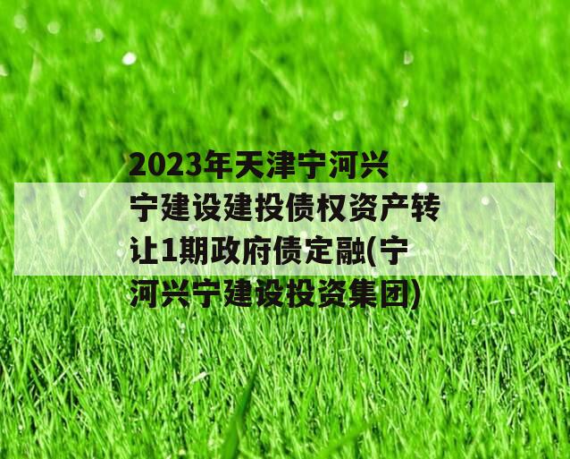 2023年天津宁河兴宁建设建投债权资产转让1期政府债定融(宁河兴宁建设投资集团)