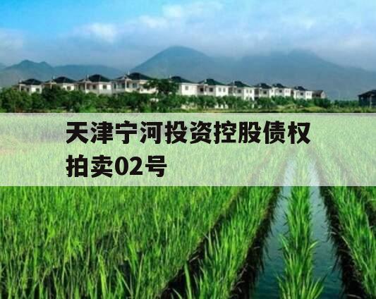 天津宁河投资控股债权拍卖02号