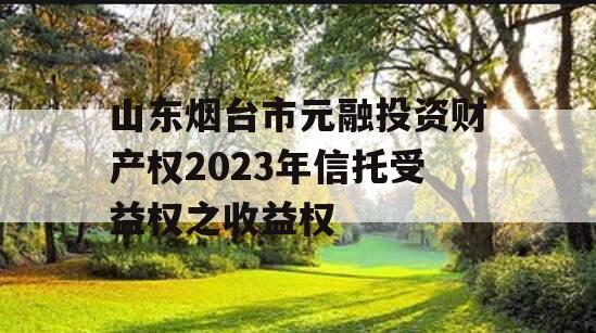 山东烟台市元融投资财产权2023年信托受益权之收益权