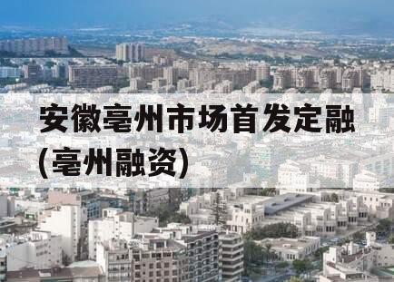 安徽亳州市场首发定融(亳州融资)